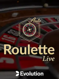 Roulette Live at PALDOCROWN